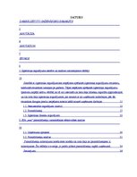 Referāts 'Ilgtermiņa ieguldījumu analīze SIA "xxx"', 3.