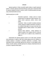 Referāts 'Ilgtermiņa ieguldījumu analīze SIA "xxx"', 12.