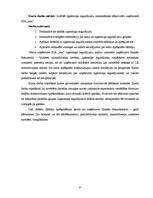 Referāts 'Ilgtermiņa ieguldījumu analīze SIA "xxx"', 13.
