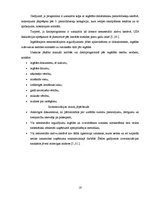 Referāts 'Ilgtermiņa ieguldījumu analīze SIA "xxx"', 20.