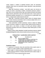 Referāts 'Ilgtermiņa ieguldījumu analīze SIA "xxx"', 23.