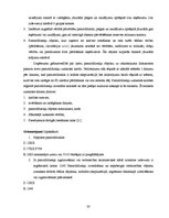 Referāts 'Ilgtermiņa ieguldījumu analīze SIA "xxx"', 24.