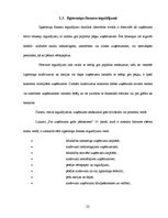 Referāts 'Ilgtermiņa ieguldījumu analīze SIA "xxx"', 26.