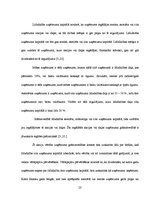 Referāts 'Ilgtermiņa ieguldījumu analīze SIA "xxx"', 27.
