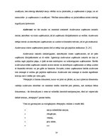 Referāts 'Ilgtermiņa ieguldījumu analīze SIA "xxx"', 28.
