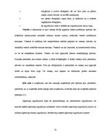 Referāts 'Ilgtermiņa ieguldījumu analīze SIA "xxx"', 32.