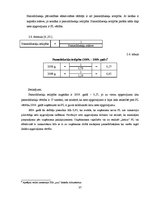 Referāts 'Ilgtermiņa ieguldījumu analīze SIA "xxx"', 41.