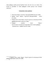 Referāts 'Darba likumdošana, pedagogu tiesību un pienākumu saistība', 9.