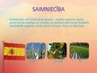 Prezentācija 'Portugāle un Spānija', 15.