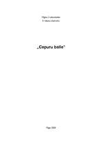 Referāts 'Cepures, cepuru balle', 1.