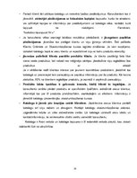 Prakses atskaite 'SIA "Avon Cosmetics"', 14.