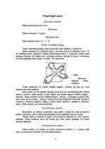 Referāts 'Ūdens', 4.