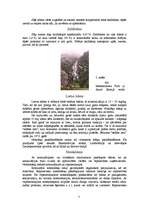 Referāts 'Ūdens', 7.