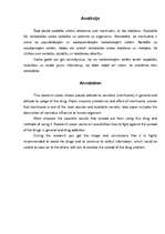 Referāts 'Marihuāna', 2.