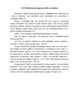 Referāts 'Marihuāna', 9.