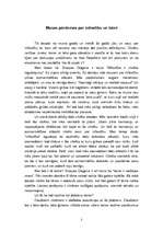 Eseja 'Kas ir mīlestība un laime', 2.