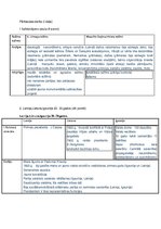 Paraugs 'Pārbaudes darbs vēsturē', 1.