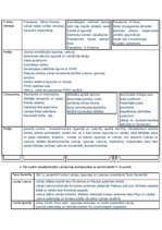 Paraugs 'Pārbaudes darbs vēsturē', 2.