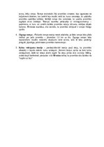 Konspekts 'Piramīdu rašanās/būvniecības teorijas', 2.