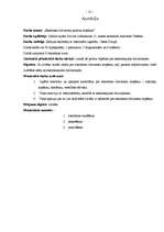 Referāts 'Eksotisko dzīvnieku pareiza kopšana', 25.