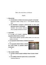 Konspekts 'Darba vides riski. Mājas darbs', 1.