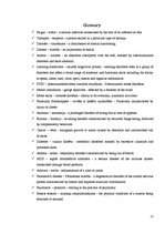 Referāts 'Dance Theraphy', 13.