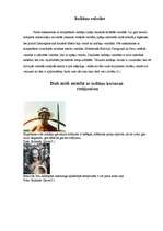 Referāts 'Indiāņi', 6.