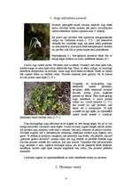 Referāts 'Augu sezonālās pārmaiņas', 4.