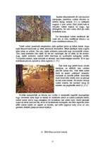 Referāts 'Augu sezonālās pārmaiņas', 6.