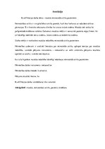 Referāts 'Masāža reimatoīdā artrīta pacientiem', 3.