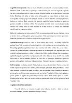 Referāts 'Masāža reimatoīdā artrīta pacientiem', 20.