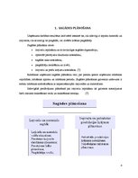 Referāts 'Pārtikas produktu sagāde ēdināšanas uzņēmumos', 4.