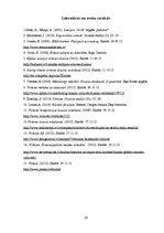 Referāts 'Virtuves interjera dizains un tā tendences mūsdienās', 24.