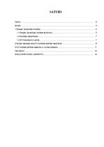 Referāts 'Eiropas Savienības budžeta politikas realizācija Latvijas muitas dienesta darbīb', 3.