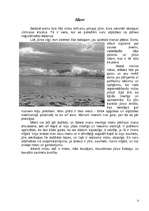 Eseja 'Mans pasaules uzskats', 3.