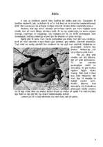 Eseja 'Mans pasaules uzskats', 8.