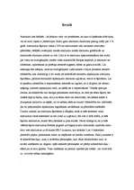 Referāts 'Atkritumu šķirošana', 5.