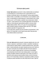 Referāts 'Atkritumu šķirošana', 12.