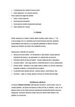 Referāts 'Atkritumu šķirošana', 19.