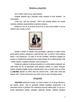 Referāts 'Reklāma poligrāfijā', 2.