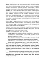 Referāts 'Reklāma poligrāfijā', 4.