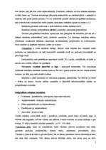 Referāts 'Reklāma poligrāfijā', 7.