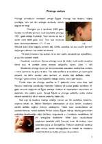 Referāts 'Pīrsings', 2.