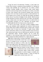 Referāts 'Pīrsings', 3.