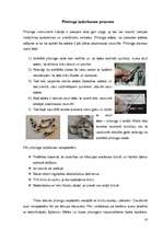 Referāts 'Pīrsings', 14.