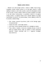 Referāts 'Pīrsings', 18.