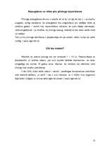 Referāts 'Pīrsings', 19.