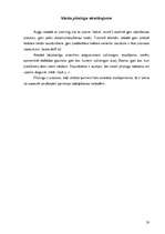 Referāts 'Pīrsings', 20.