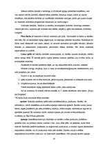 Diplomdarbs 'Jāņa Poruka stāsta "Kauja pie Knipskas" vērtīborientējoša apguve 5.klasē', 28.