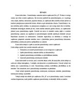 Referāts 'Pamatlīdzekļu uzskaites analīze uzņēmumā SIA "E"', 3.